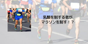 乳酸を制する者がマラソンを制す!? - カツサプ公式サイト